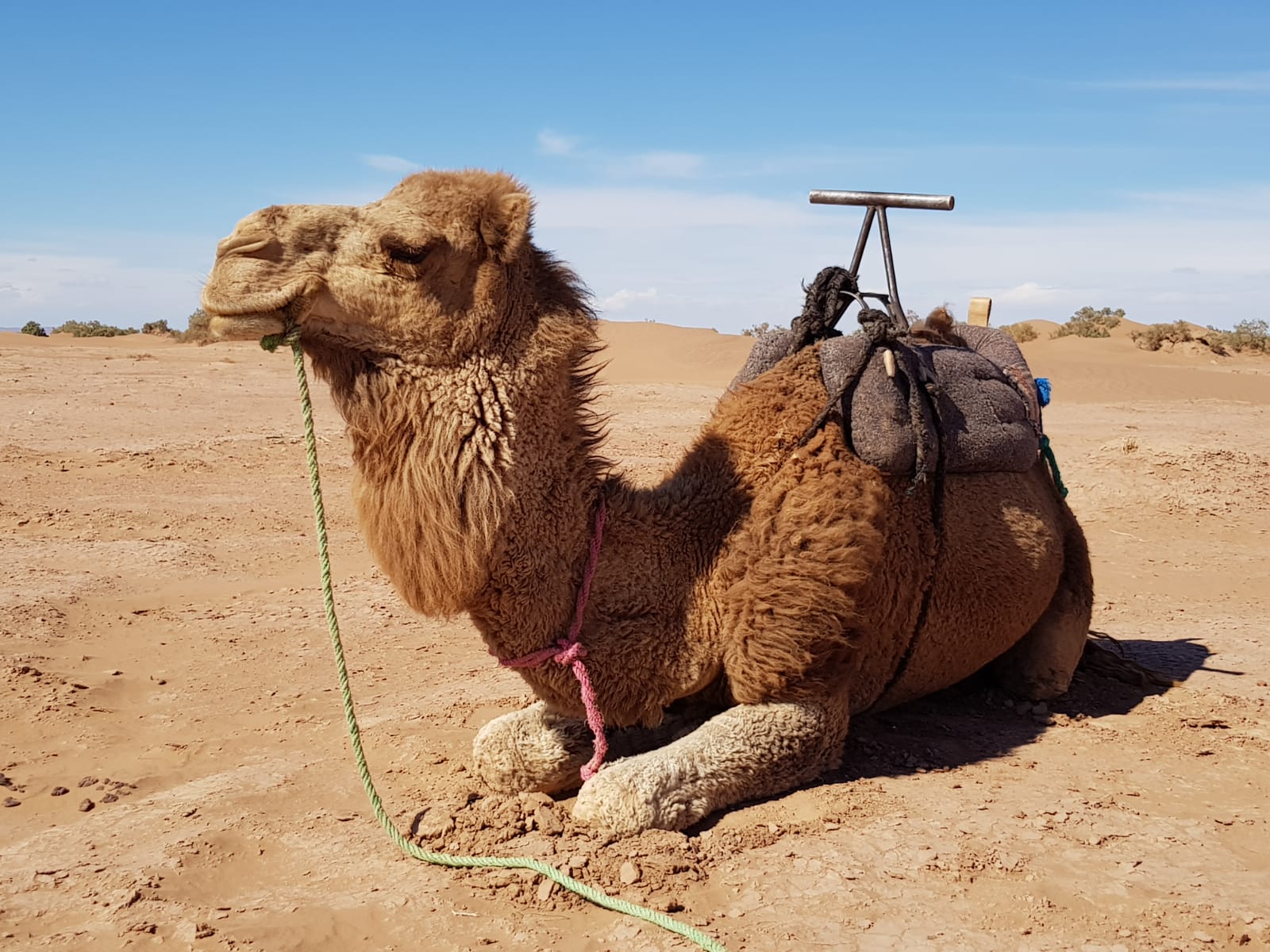 Wie die Wüstenreise nach Marokko mein Leben veränderte